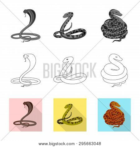Vector Design Of Mammal And Danger Sign. Set Of Mammal And Medicine Vector Icon For Stock.