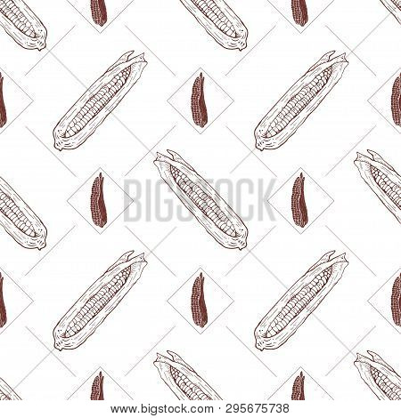Seamless Pattern With Corn Cobs On A White Background. Vector Illustration