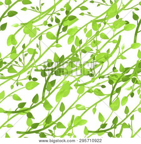 Vector Seamless Pattern, Spring Leaves, Light Green Watercolor Branches On White Background, Foliage