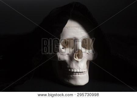 Human Scull On Black Human Anatomy Concept
