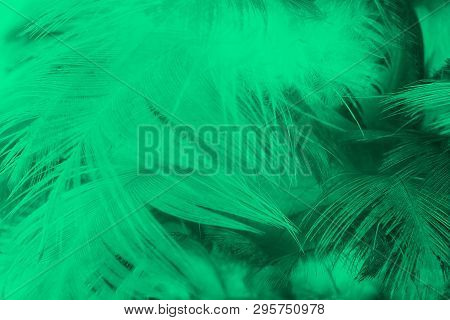 Beautiful Dark Green Viridian Vintage Color Trends Feather Texture Background