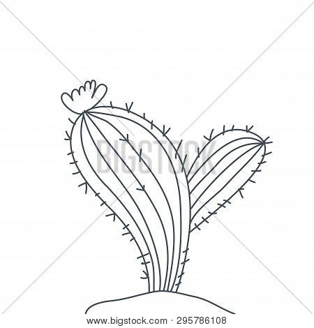 Cactus In Landscape Isolated Icon Vector Illustration Design