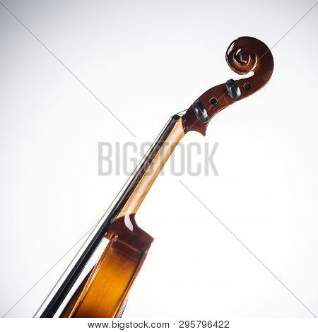 Close Up Of Classic Violoncello On White Background