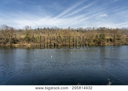 Cycleway Along The Adda River Near Trezzo (lombardy, Italy) At Winter