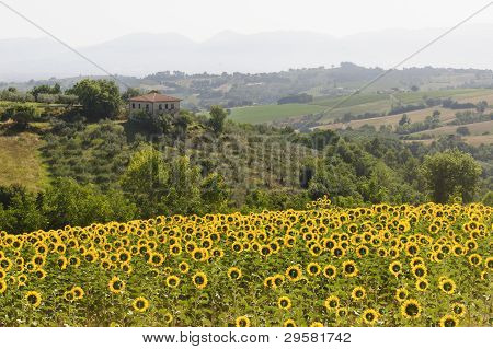 ภูมิทัศน์ใน Umbria ใกล้ Todi