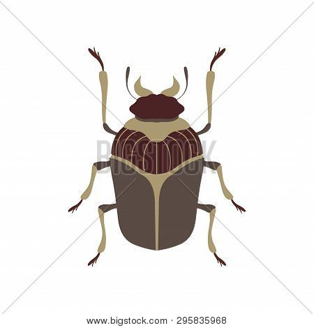 Bug Beetle Insect Species Top View Flat Vector Illustration