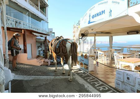Santorini, Greece - July 19, 2018: Mules In Street At Santorini. These Animals With Donkeys Are Used