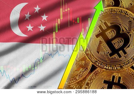 Singapore Flag And Cryptocurrency Growing Trend With Many Golden Bitcoins