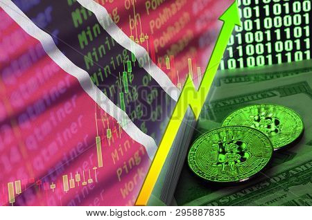 Trinidad And Tobago Flag And Cryptocurrency Growing Trend With Two Bitcoins On Dollar Bills And Bina