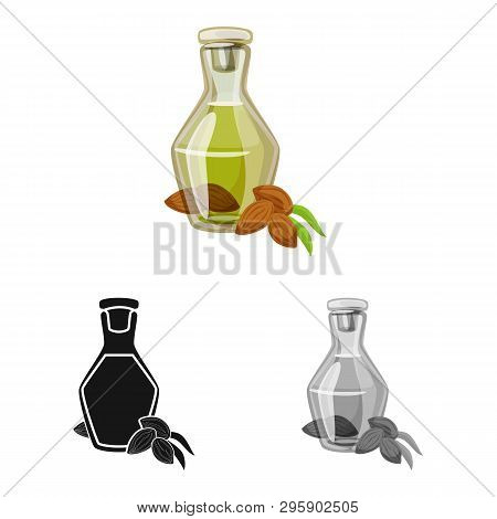 Vector Illustration Of Almond And Nut Icon. Set Of Almond And Fruit  Stock Vector Illustration.