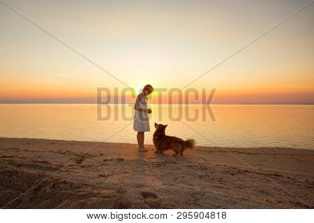 Little Girl Is Walking With A Dog By The Sea
