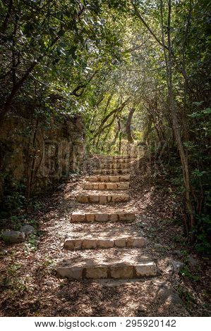 Stone Stairs In A Forest In Mlini, Croatia.