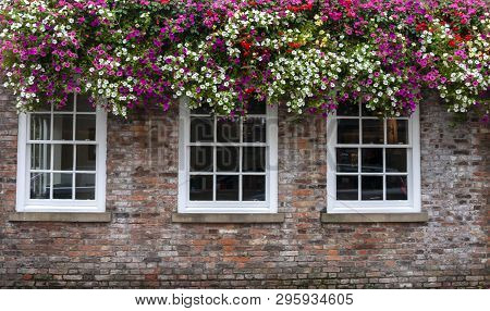 A Colourful Brick Wall With Three Windows Toped By A Very Attractive Display Of Summer Flowers.