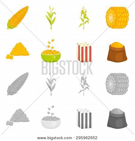 Vector Illustration Of Cornfield And Vegetable Symbol. Collection Of Cornfield And Vegetarian Stock 