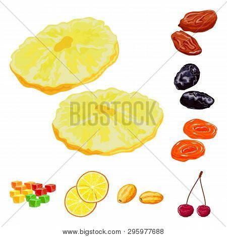 Vector Design Of Fruit And Dried  Icon. Set Of Fruit And Food  Stock Vector Illustration.