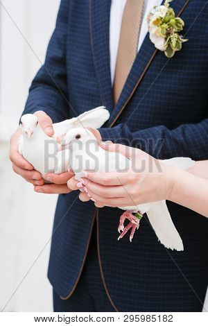 A Pair Of White Doves Are Held In The Hands Of The Bride And Groom. Light Background