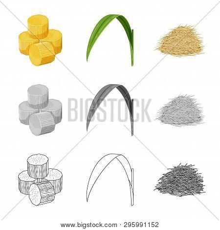 Vector Design Of Farm And Agriculture  Sign. Set Of Farm And Technology Vector Icon For Stock.