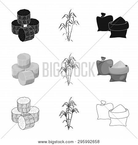 Vector Illustration Of Farm And Agriculture  Logo. Collection Of Farm And Technology Stock Vector Il
