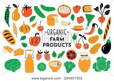Healthy Food, Organic Products Set. Funny Doodle Hand Drawn Vector Illustration. Farm Market Cute Nu