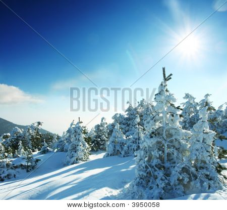 Winter seizoen