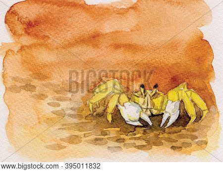 Portrayal Of Little Yellow Crab Walking And Orange Background. Watercolor Painting.