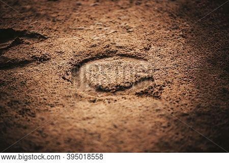 A Horseshoe, Worn On The Hoof Of A Horse That Ran Through This Area, Was Imprinted On The Sand In Th