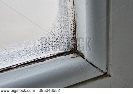 Mold Fungus And Moist On Window Frame And On Glass