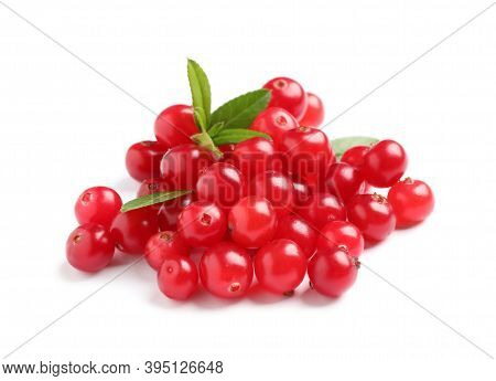 Pile Of Fresh Ripe Cranberries With Leaves On White Background