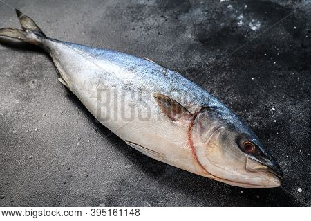 Fresh Whole Raw Japanese Yellowtail. Fish Amberjack. Black Background. Top View