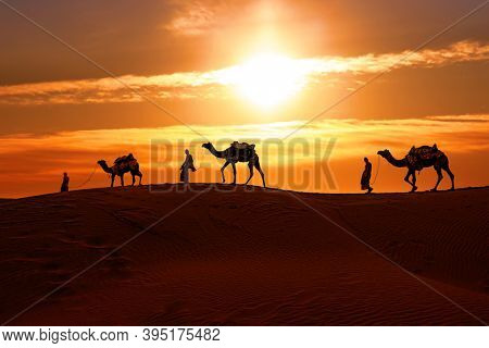 Cameleers, camel Drivers at sunset. Thar desert on sunset Jaisalmer, Rajasthan, India.