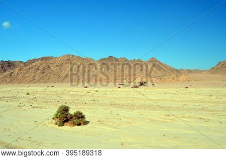 Motion blure. Jeep safari.Photos were taken while driving. Desert of Sinai Peninsula, Egypt. Near Sharm El Sheikh