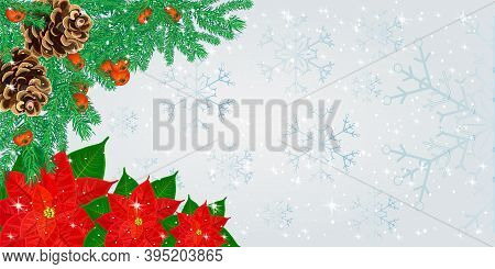 Christmas Border With Fir Branches, Cones, Poinsettia Flowers And Rowan Berries On Snowflakes Backgr