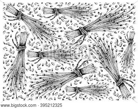 Illustration Wall-paper Of Hand Drawn Sketch Flax Seed Or Linum Usitatissimum Isolated On White Back