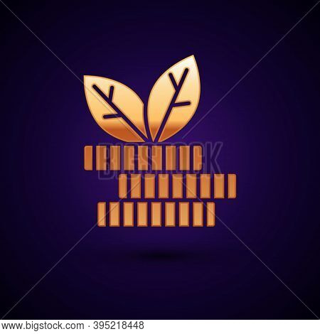 Gold Dollar Plant Icon Isolated On Black Background. Business Investment Growth Concept. Money Savin