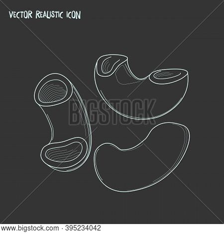 Pippe Doppia Pasta Shape Icon Line Element. Illustration Of Pippe Doppia Pasta Shape Icon Line Isola