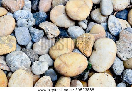Rock River.