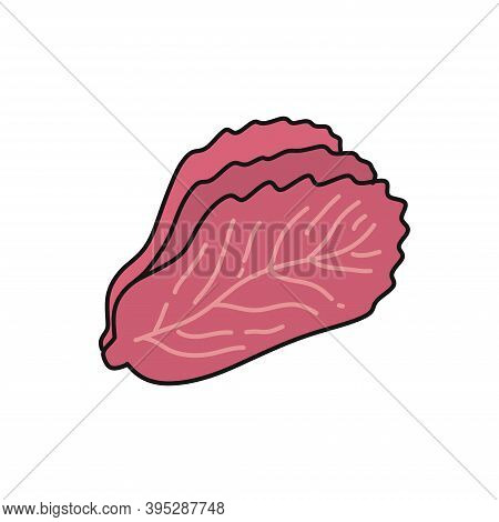 Kimchi, Korean Dish Doodle Icon, Vector Color Illustration