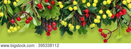 Autumn Oak And Rowan Branches With Red Berries On Green Background.
Flat Lay, Top View, Copy Space C
