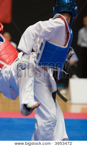 Taekwondo