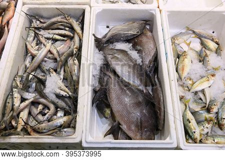 Halfbeak Fish, Rabbit Fish And Atlantic Horse Mackerel At Billingsgate Fish Market In London, Uk.