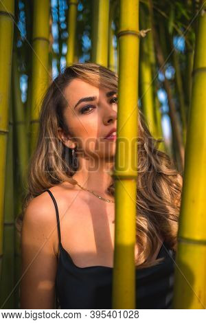 Lifestyle, Blonde Caucasian Girl In A Glamorous Black Dress In The Park In Nature, Perched On Some B