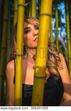 Lifestyle, Blonde Caucasian Girl In A Glamorous Black Dress In The Park In Nature, Perched On Some B
