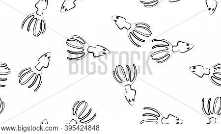 Squid On White Background, Vector Illustration, Pattern. White Squid With Eyes, Seafood. Black And W