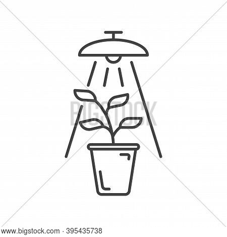 Plant Under Lamp Icon. A Simple Depiction Of Growing A Plant Under Artificial Conditions Under Artif