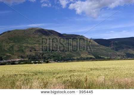 Ochil Hills 2