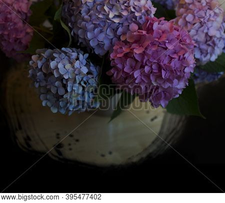 Blossoming Flower Bouquet Of Fresh Hydrangea On Table. Bunch Of Blue, Pink Hydrangeas. Tender Flower