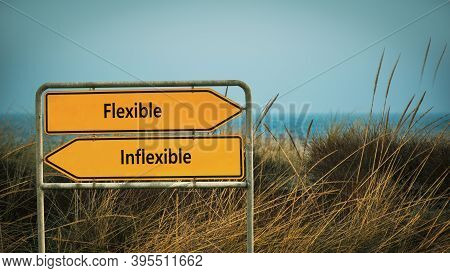 Street Sign The Direction Way To Flexible Versus Inflexible