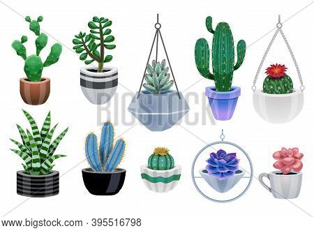 Cactus In Pot Set With Isolated Icons Of Colourful Cactus Plants And Pots Of Various Design Vector I