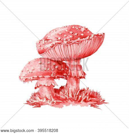 Amanita Muscaria Dangerous Red Mushroom Watercolor Illustration. Close Up Botanical Toxic Couple Toa