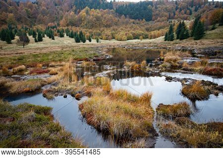 Scenic autumn view of small lake at Roosterâs Ridge, Gutaiului Mountains, Romania.